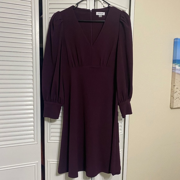 Calvin Klein Dresses & Skirts - Calvin Klein Long Sleeve Burgundy Women's Dress - Size 6